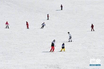 滑雪|天生的滑雪运动员！萌娃18个月大开始玩双板雪龄已3年