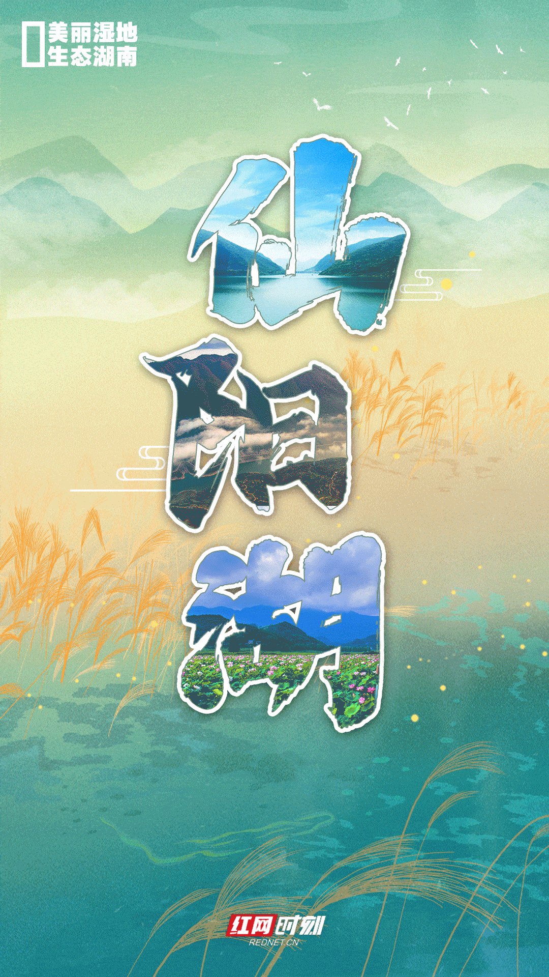 刘秋平|海报丨世界湿地日，“点一点”带你领略湖湘湿地之美