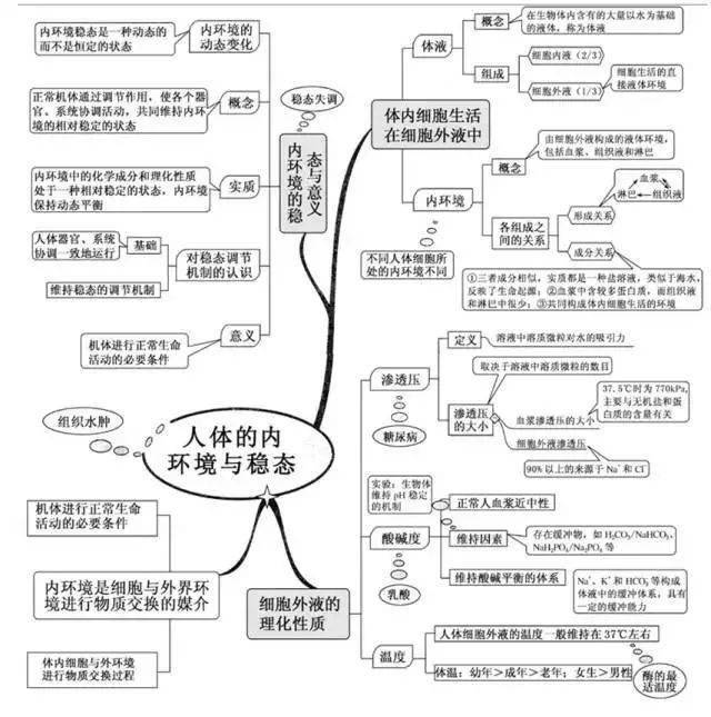 高中|高中九大学科思维导图最全汇总，高中三年都适用！（收藏）