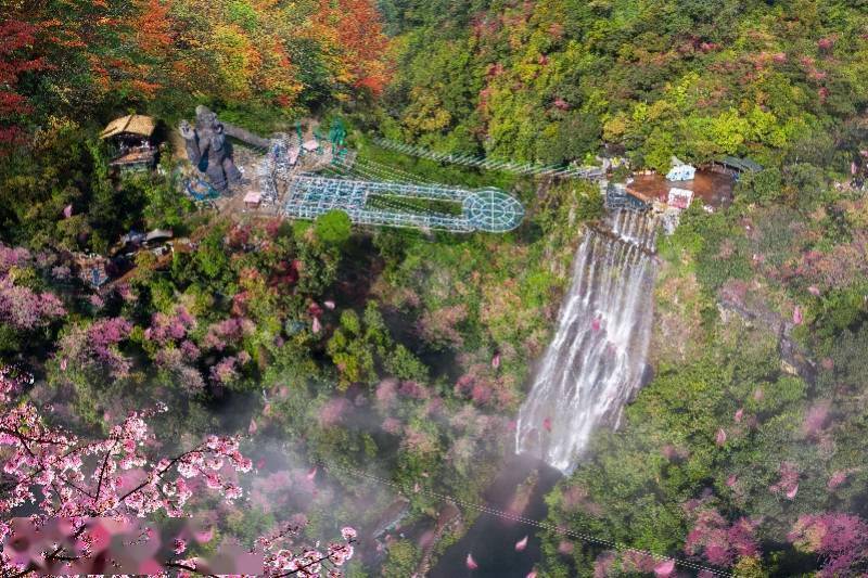 品种|“水陆空”立体赏花！古龙峡20万株花卉打造三大组团