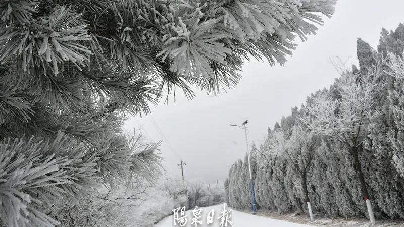 平台|宅家也能赏雪？速点击，看看雪后的狮脑山→