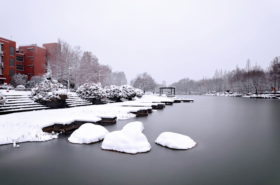 雪后河南校园真美