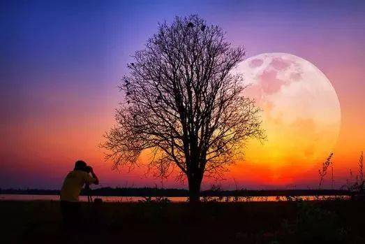 �ɴ����ߣ����������ָ��