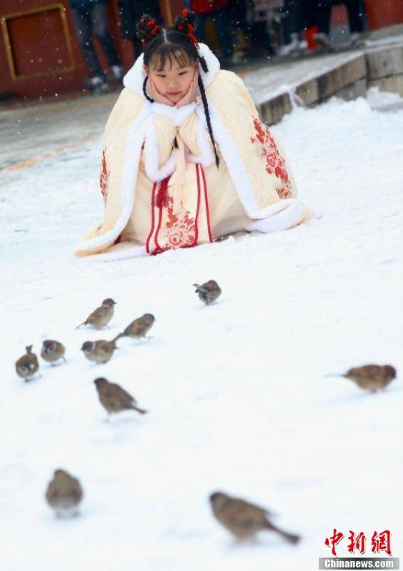 午门|市民游览雪中故宫