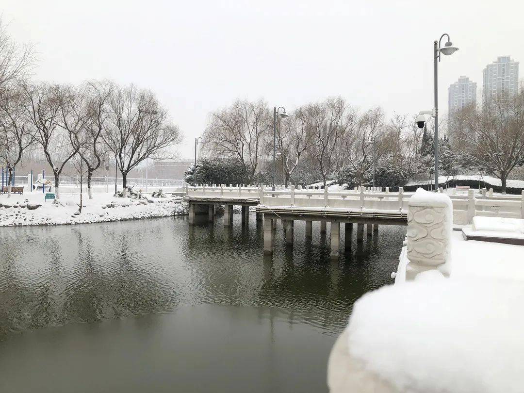 惊艳的校园雪景 d8f6245f4df8435a875b1cfde855577d.jpeg