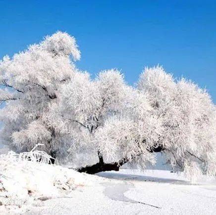 @济南市民 雨雪来袭,收好这份御寒指南!_患者_建议_人体