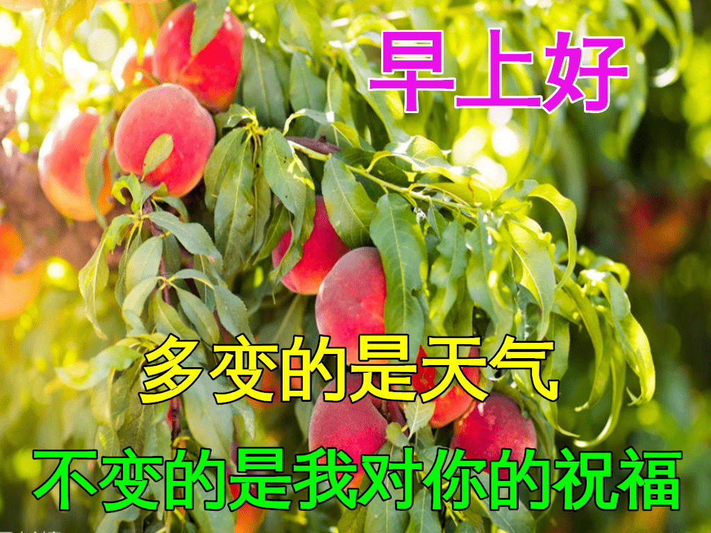 1月22日最漂亮早上好动态表情图片大全早晨好动图美图大全