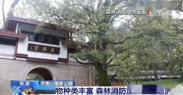 福建|森林火警电话你知道吗？武夷山国家公园动植物种类丰富 森林消防加强巡护