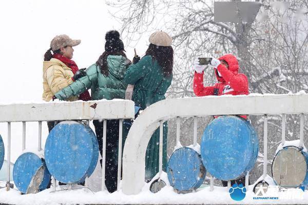 市民|郑州连日降雪秒变“雪地游乐场”市民玩嗨了