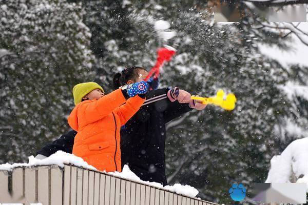 市民|郑州连日降雪秒变“雪地游乐场”市民玩嗨了