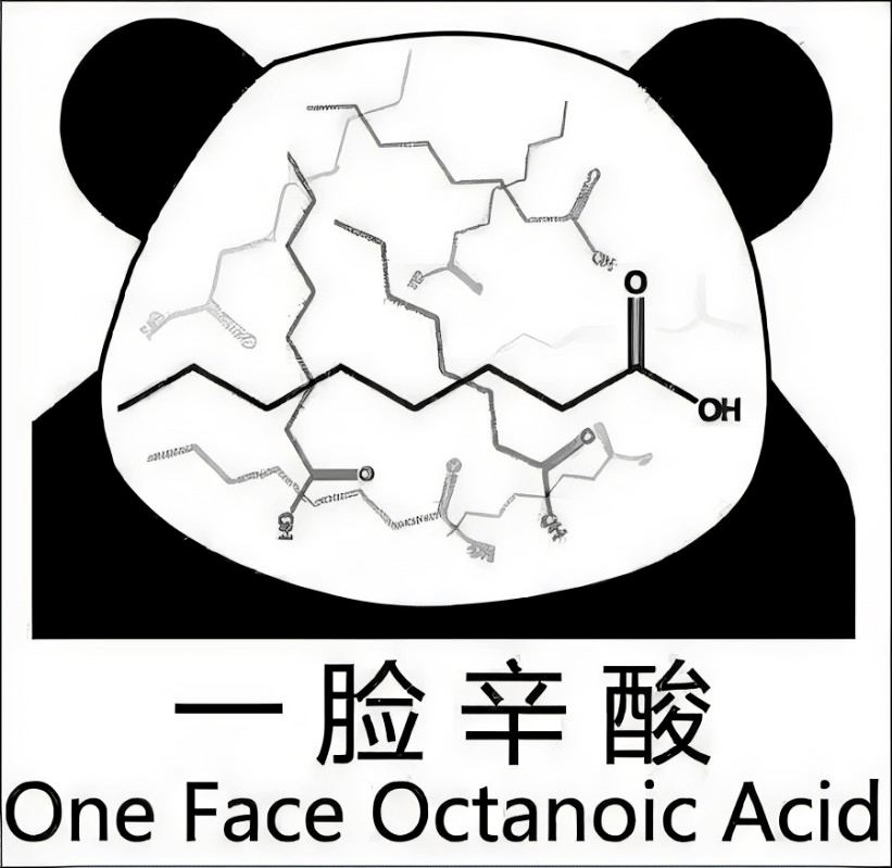 专业_概率论_同学