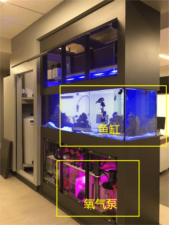 鱼缸和柜子一体效果图图片