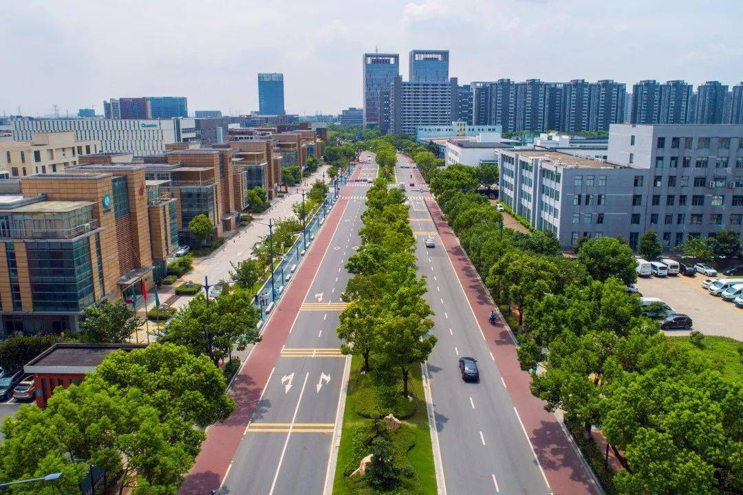 【喜报】嘉兴科技城(南湖高新区)亚太路绿化项目荣获浙江省"优秀园林