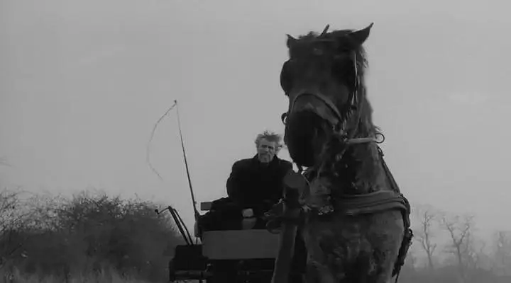 格言|如何理解尼采哲学中的虚无主义？