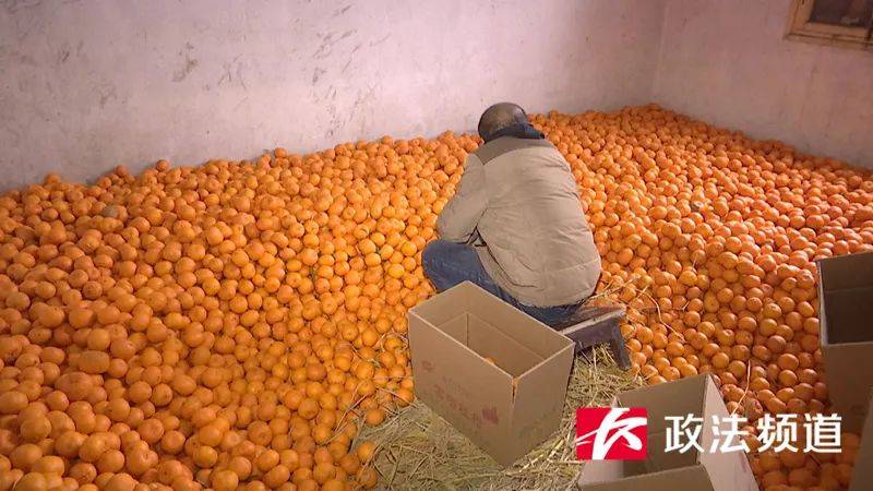 帮帮他3万斤椪柑滞销浏阳果农紧急求助