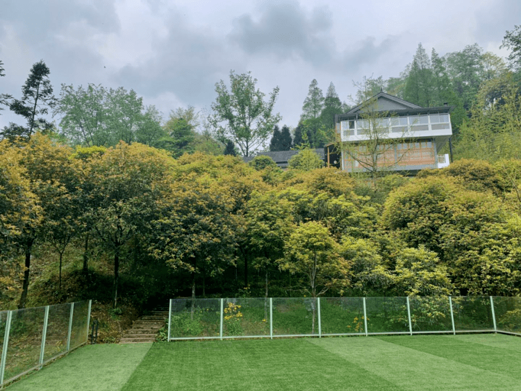 山景|在都江堰过年 | 到青城山看花海、住民宿、泡温泉，速度安排！