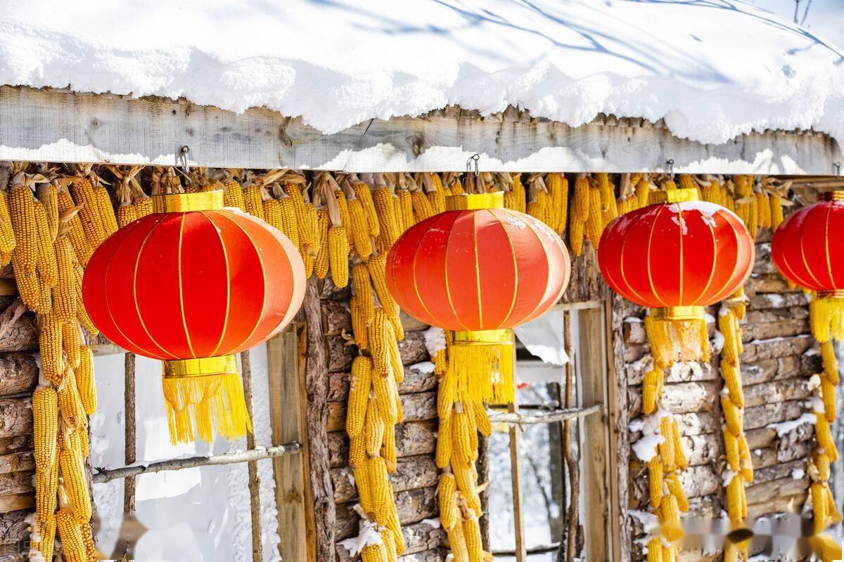 山东玉米继续大涨东北玉米有价无市今日玉米价格已更新