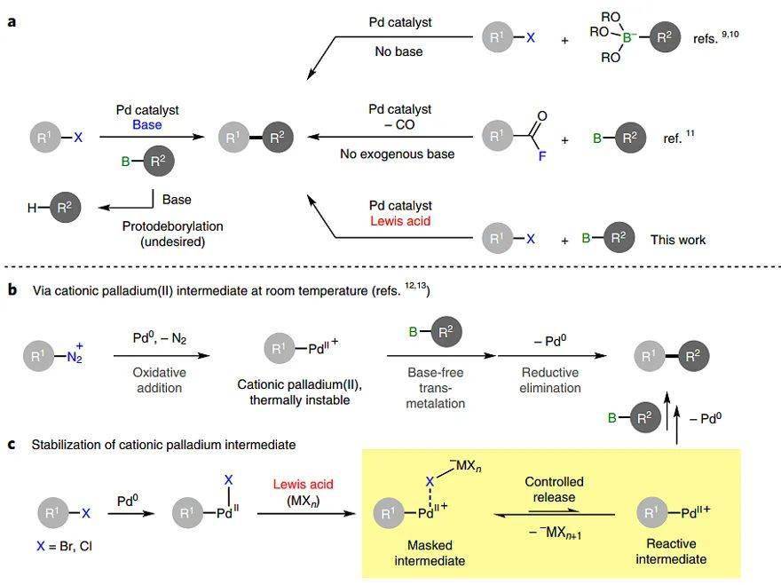 Nat. Catal.：Lewis酸介导的SuzukiMiyaura交叉偶联反应_中间体_进行_苯基