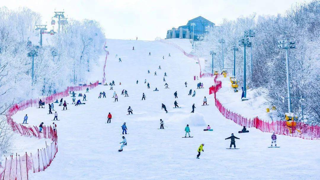 5连冠蝉联世界滑雪大奖万科燃情冰雪迎冬奥