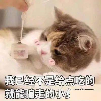 c9357b665f4941fbac7e5e53e74dde99.jpeg