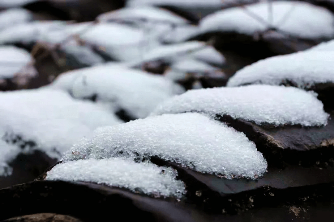 疫情雪后小城，每一帧都美成屏保!