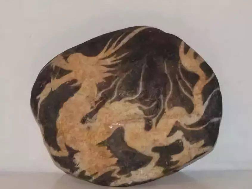 长得酷似马云的奇石估价10亿元