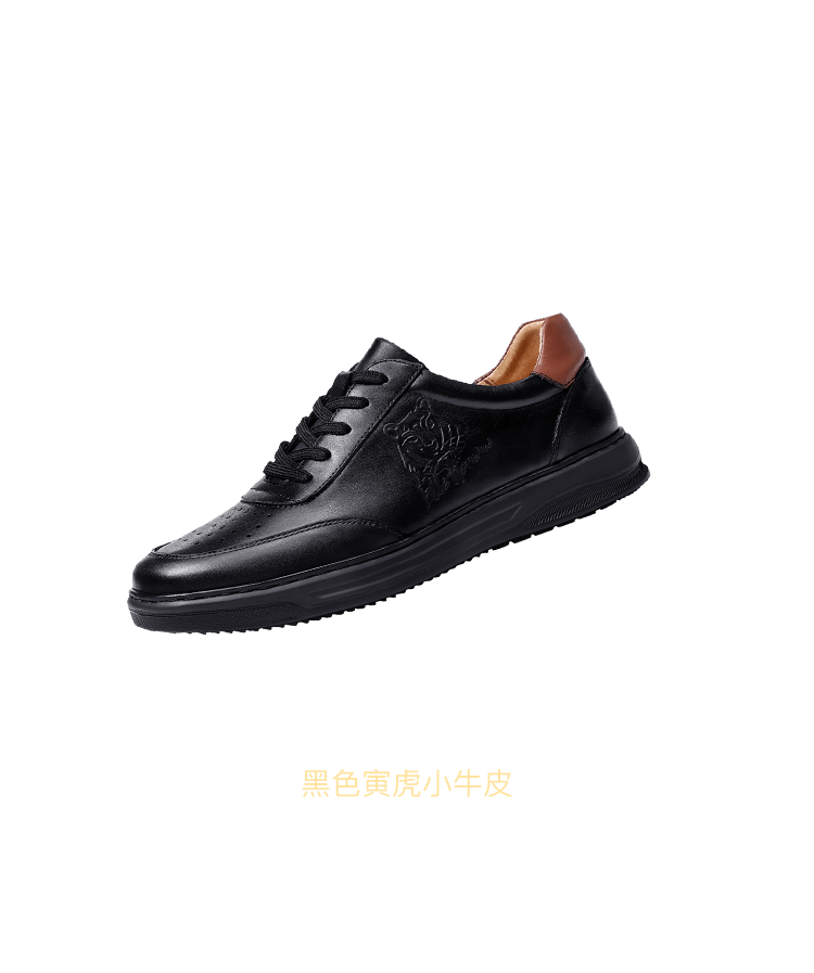 瑞迎鸿虎，大飒四方