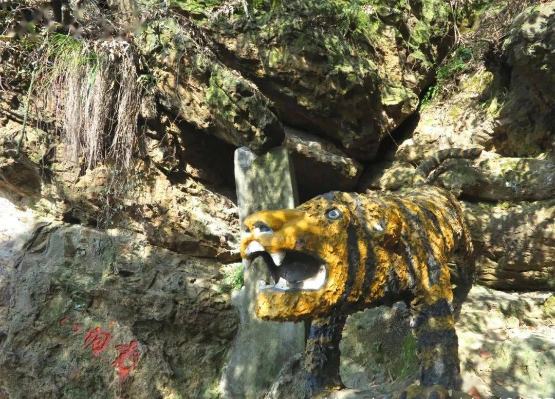 6 初六 | 梅映湘湖】穿越湘湖群山,老虎洞山觅乾坤,看梅花映湘湖全景!