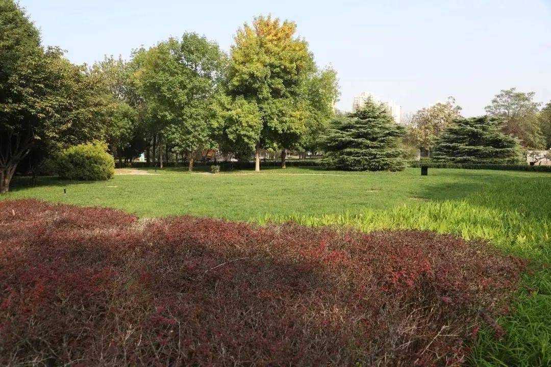 方庄体育公园位于方庄住宅中心地带,占地面积7.8公顷,其中绿地占3.