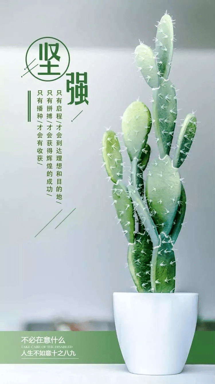 02c98b09a33646f9ac1fc969c29e8152.png