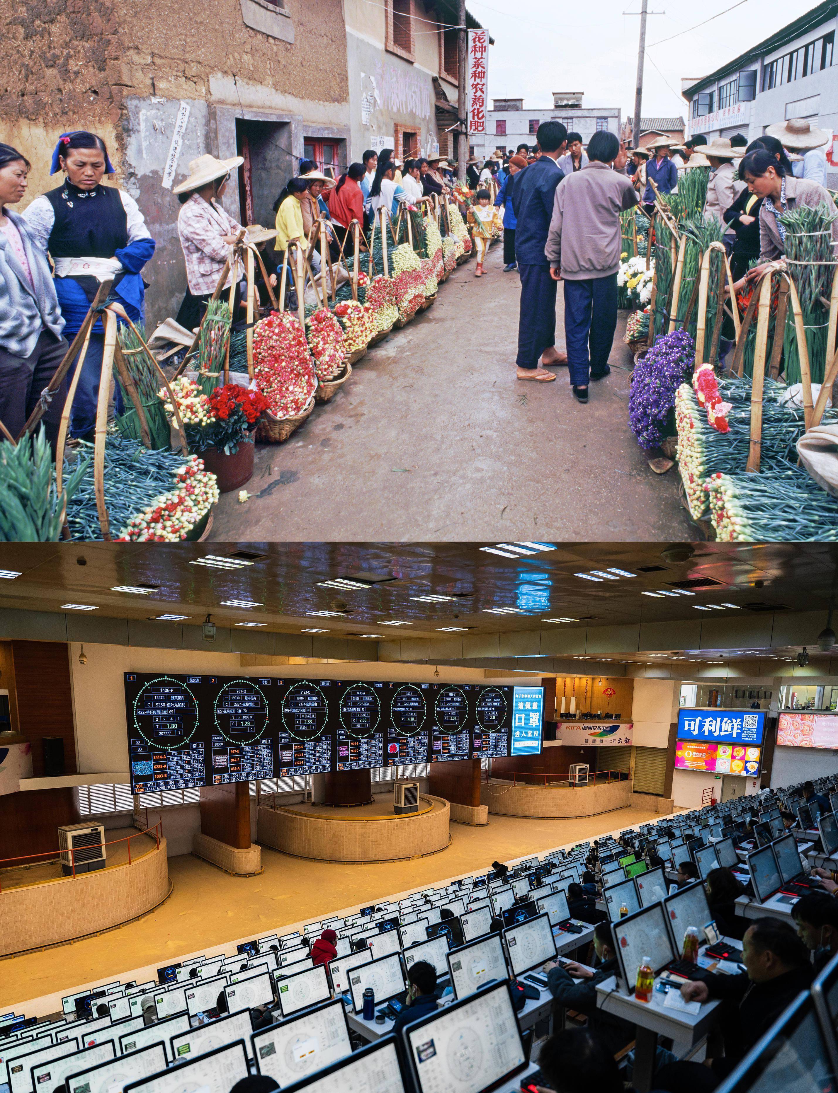 1月21日,质检员在昆明国际花卉拍卖交易中心内对鲜花进行质量检验