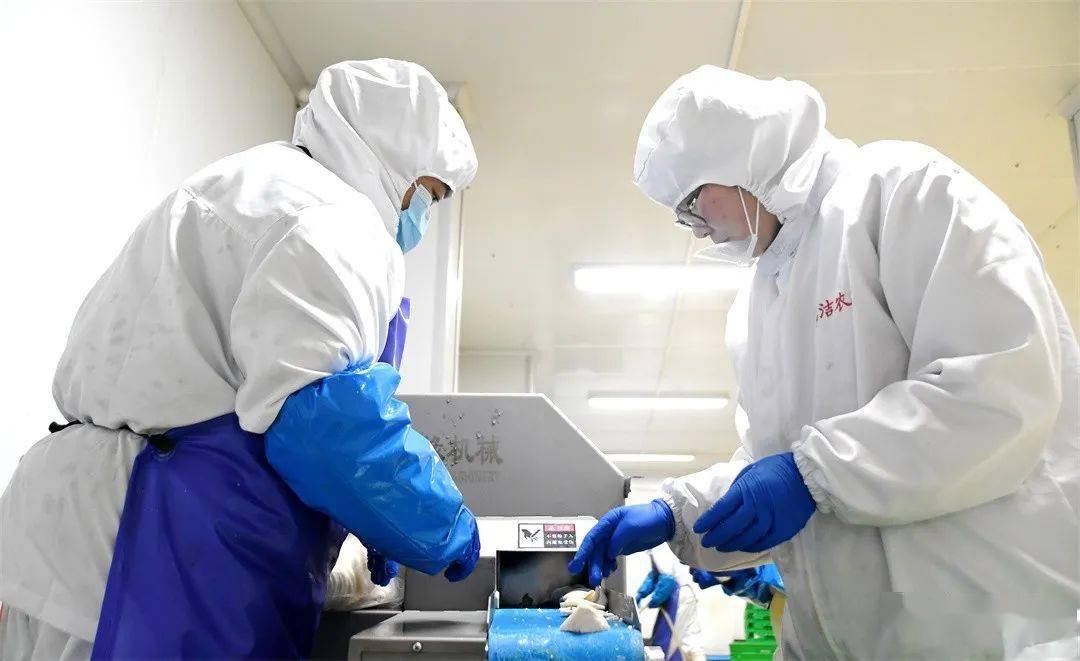 定州这家企业开足马力,确保"菜篮子"充足_生产_该公司_史红卫