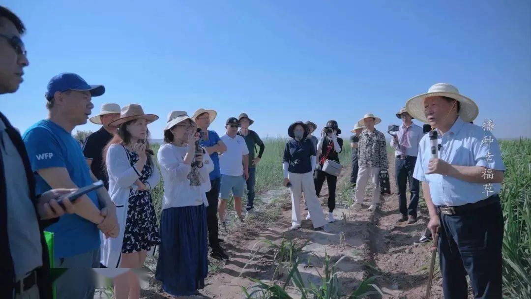 Ʒ�ơ�Ӱ�Ӿ��������IP��ȴ����������򿨹�������