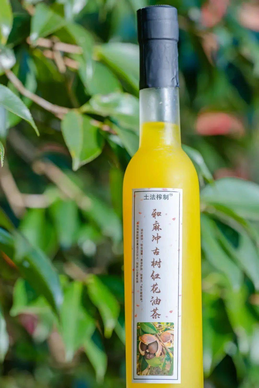 腾冲和睦村:红花油茶绘就乡村振兴蓝图_茶油_茶树_产业