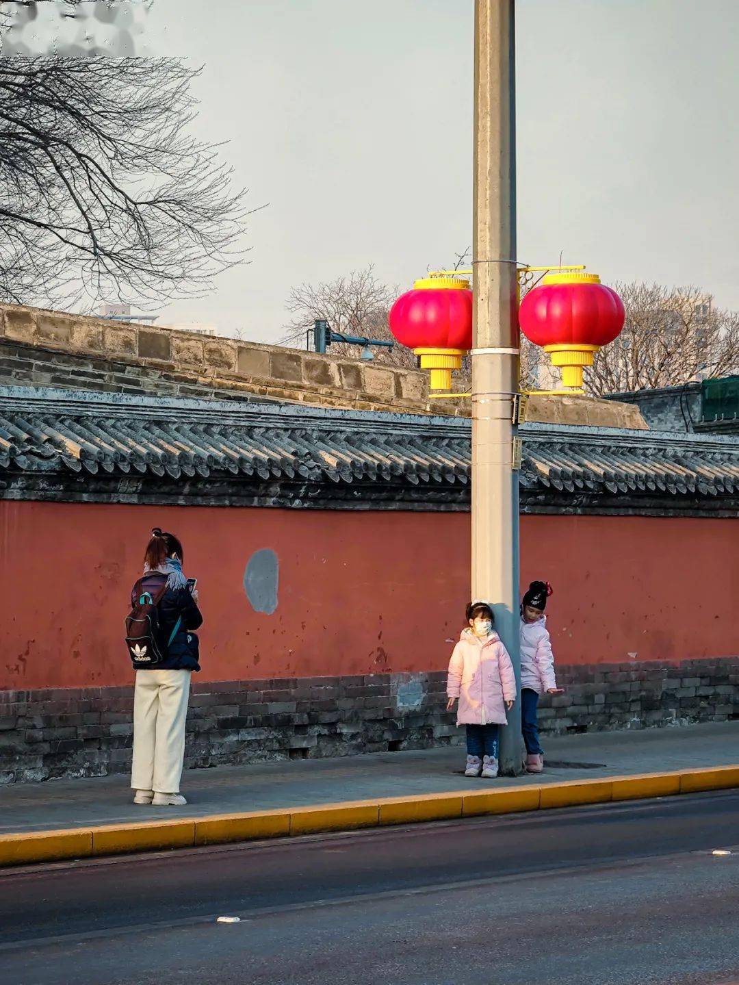 牛铭乾|错过这波，只能明年再见！