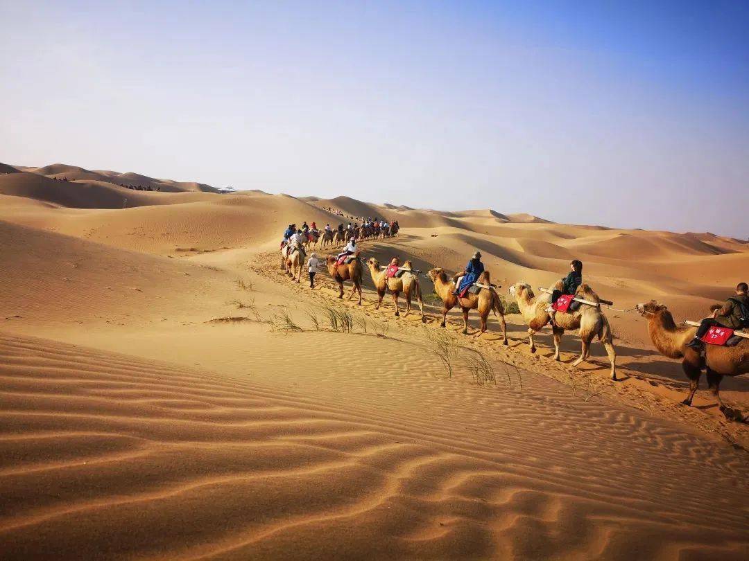 Ʒ�ơ�Ӱ�Ӿ��������IP��ȴ����������򿨹�������