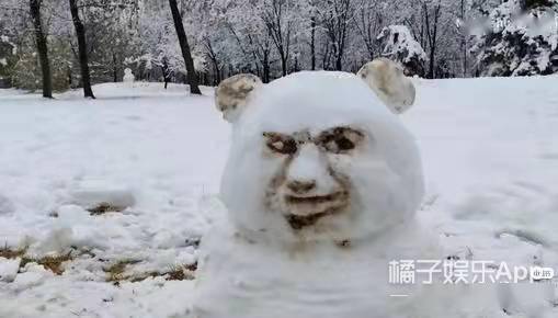 哈尔滨|现在堆雪人都要这么卷了吗？