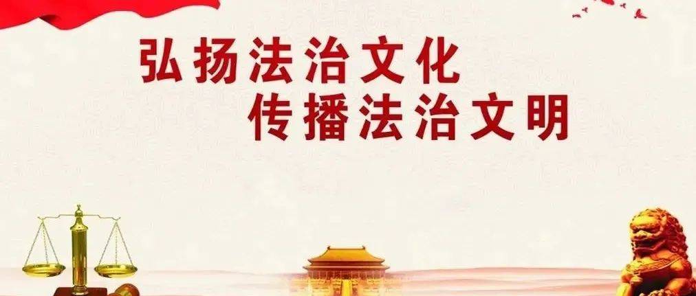 【法治建设】深入推进市域社会治理现代化试点创建——法治保障篇_新区_法律_服务