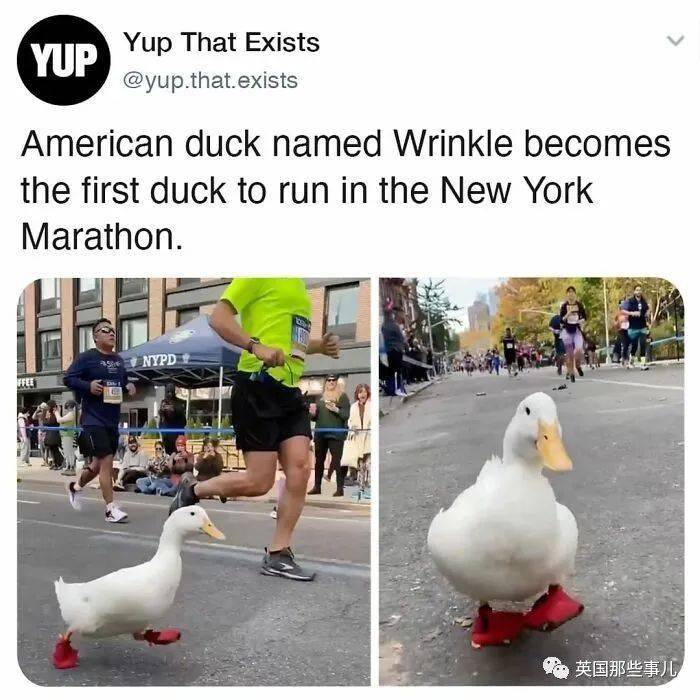 世界各地那些有趣又脑洞的真实存在，看了让人大开眼界啊！