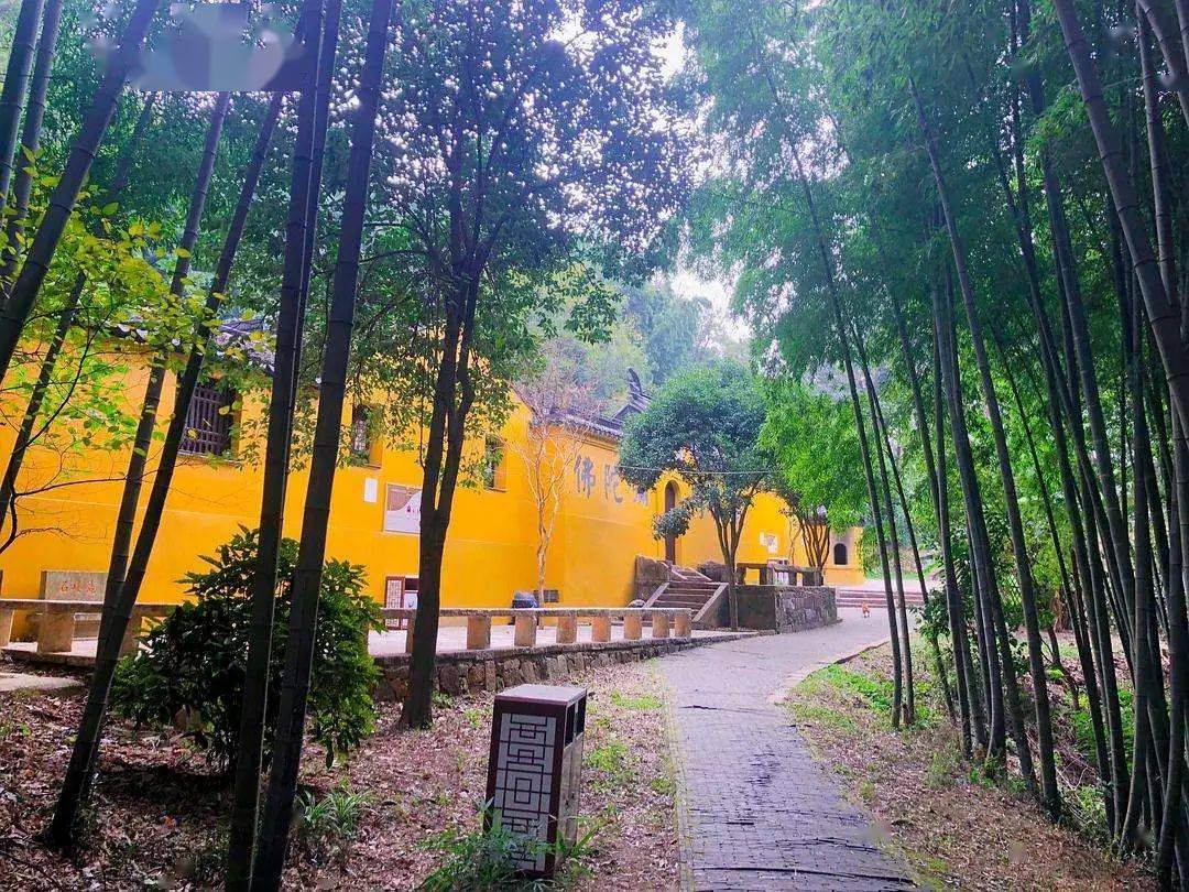 大年初四立春204春到人间草木知东风吹来去徒步光福小七尖