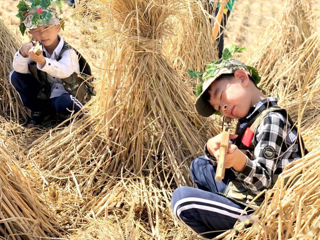 单位|恭喜！乐清这3所幼儿园“升级”了！我市已有13家省一级幼儿园，有你家附近的吗？