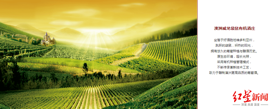 威龙|葡萄酒企业还在凛冬！威龙股份去年预亏超2亿，公司已无实际控制人