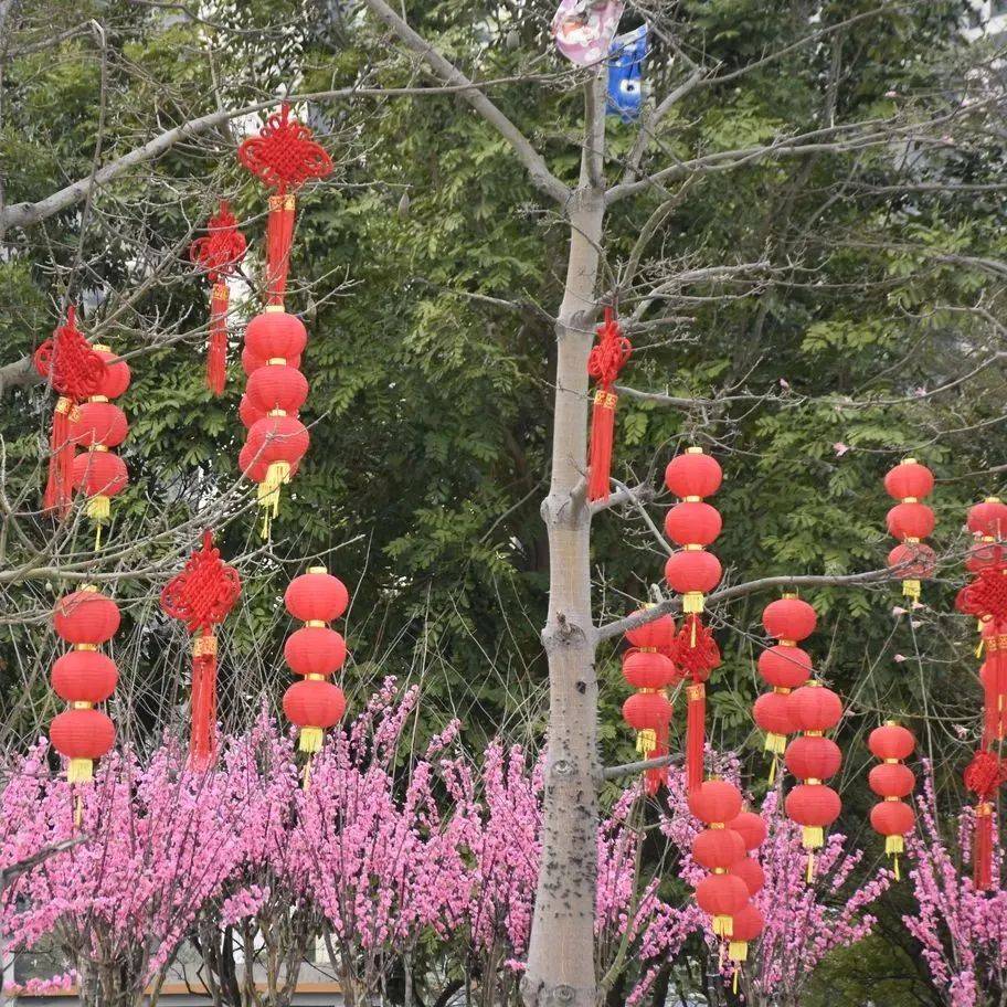 【网络中国节 春节】怀集：张灯结彩迎新春 红红火火过大年 市民广场 县城 红灯笼