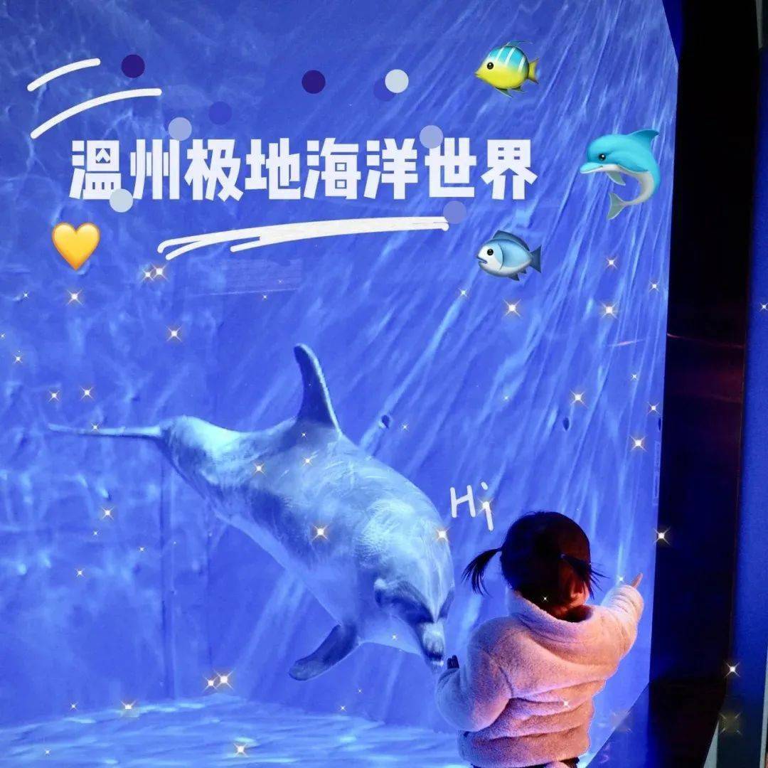 第四波温州极地海洋世界百万门票持续大放送