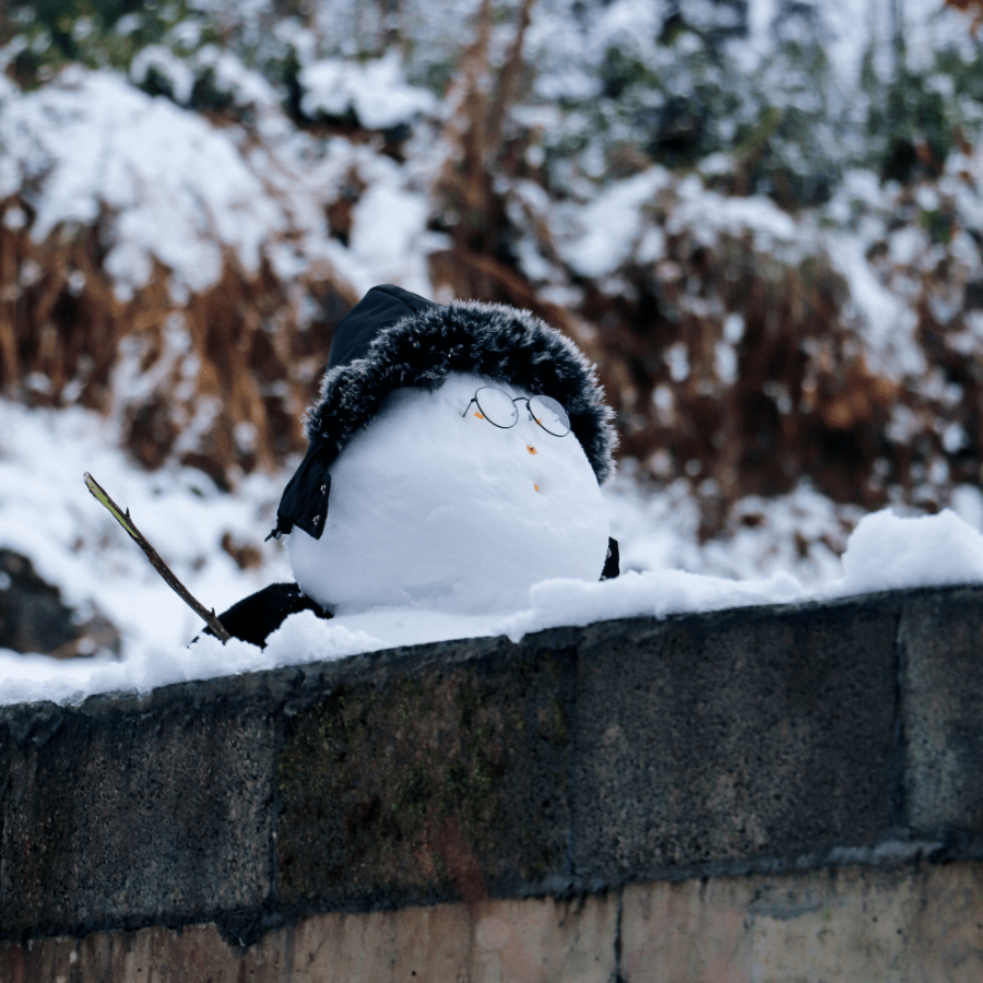 在武大能看到下雪,在我們心裡,不只是期待的自然現象,也是一種盼望的