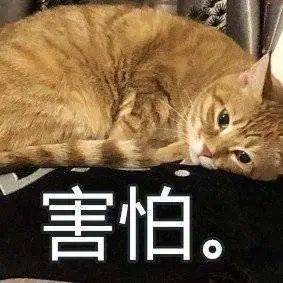 f51f2b76d420458cb06f6f8edf327e00.jpeg