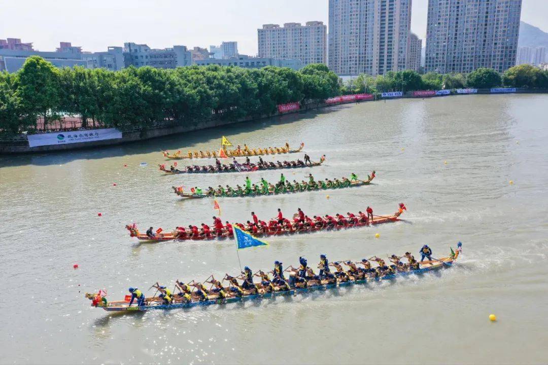 同舟共福虎年贺岁温州市龙舟协会给您拜年啦