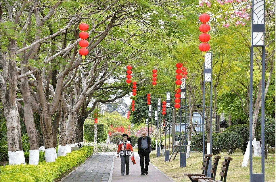 市民|厦门，红红火火迎虎年！