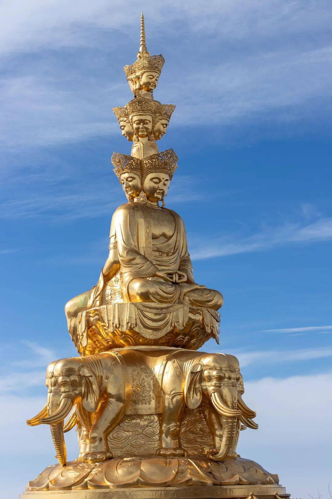 福虎迎春,峨眉山灵猴为您送上一份"大礼"!_金顶_剧场_云海