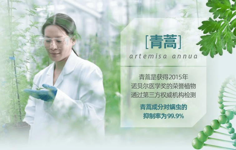 尸体头上抠下来的白泥竟是螨虫尸体!头痒头屑出油多,用它就对了